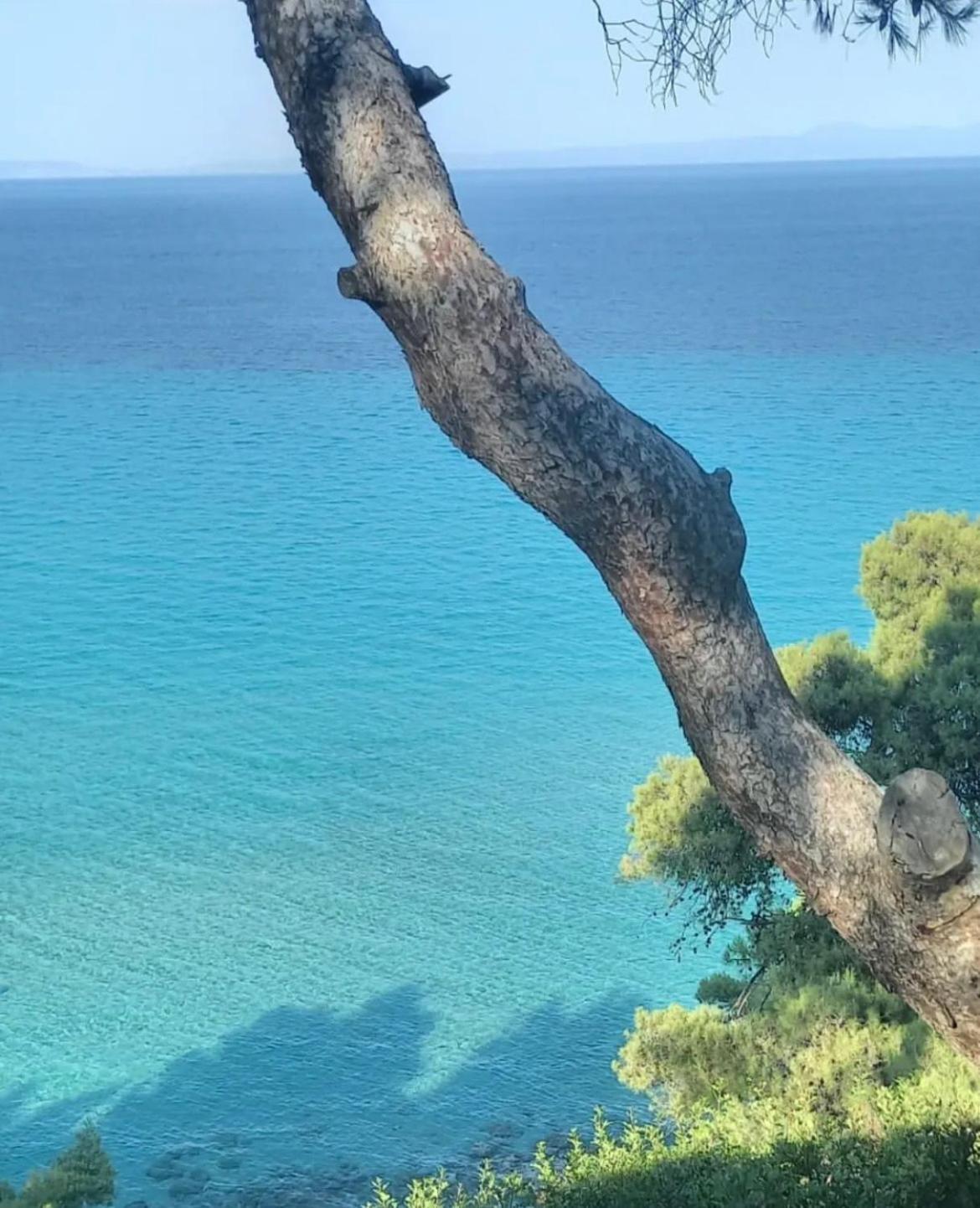 Villa Palma Kallithea  Екстер'єр фото